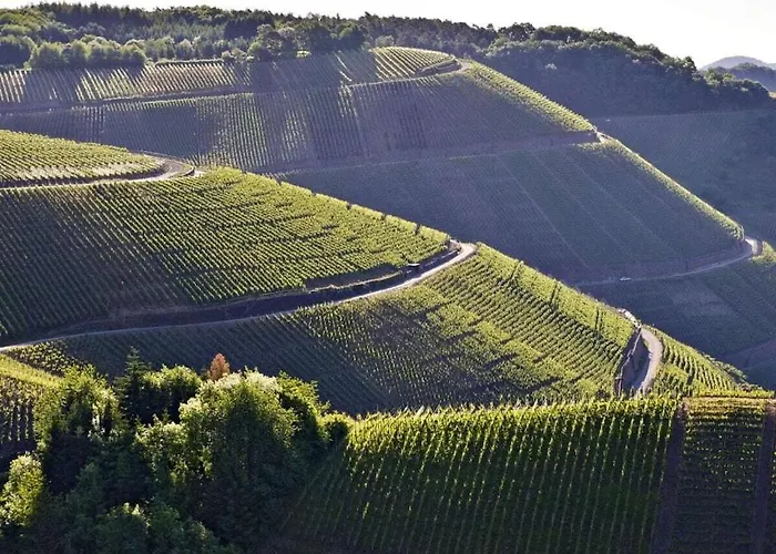 別荘 Naekel-hardtberg *